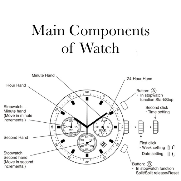 Luxury Zebra and Ebony Wood Chronograph Military Quartz Watch - Picture 15 of 16